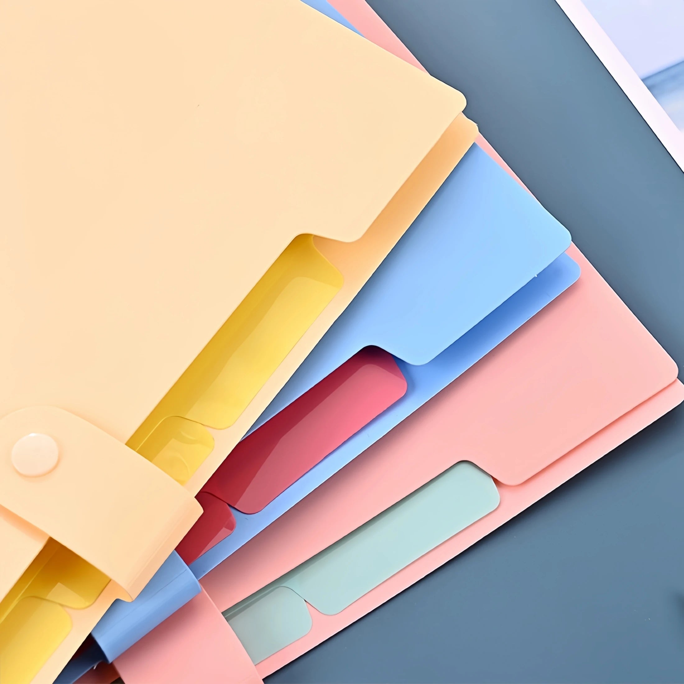 A4 Candy Colored File Folder (9 Color Options)