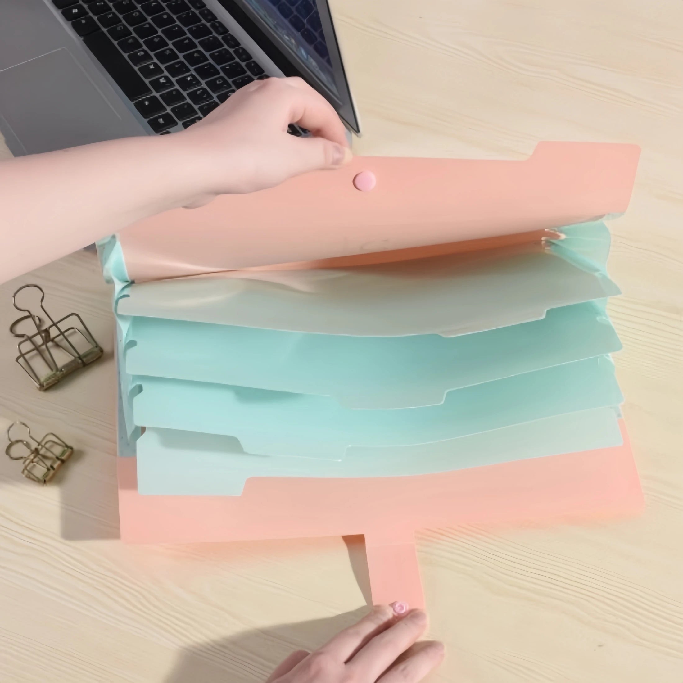 A4 Candy Colored File Folder (9 Color Options)