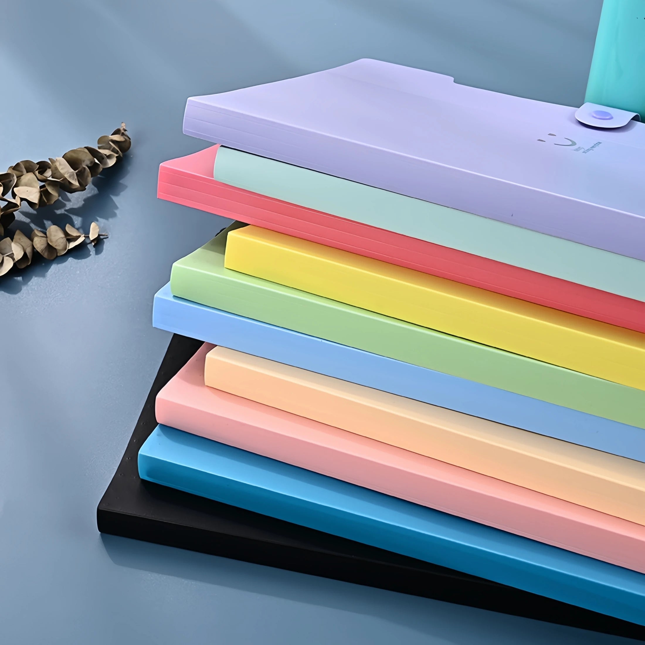 A4 Candy Colored File Folder (9 Color Options)