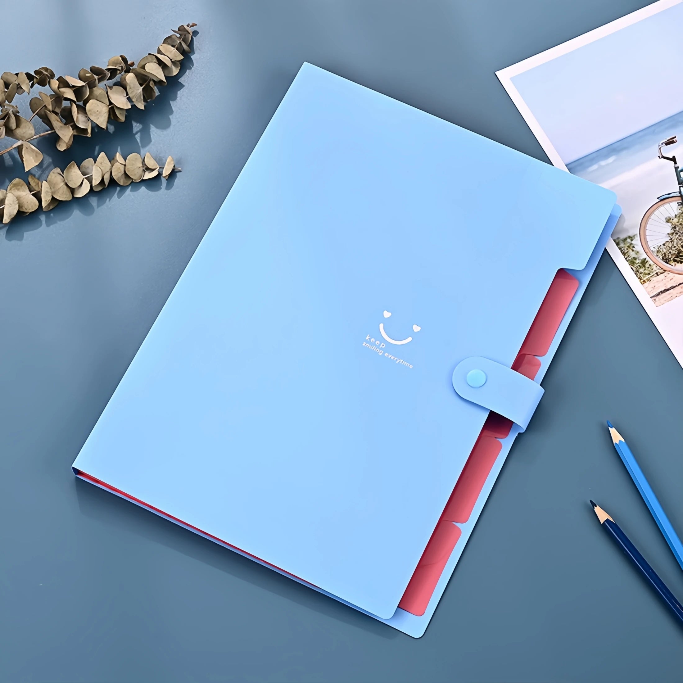 A4 Candy Colored File Folder (9 Color Options)