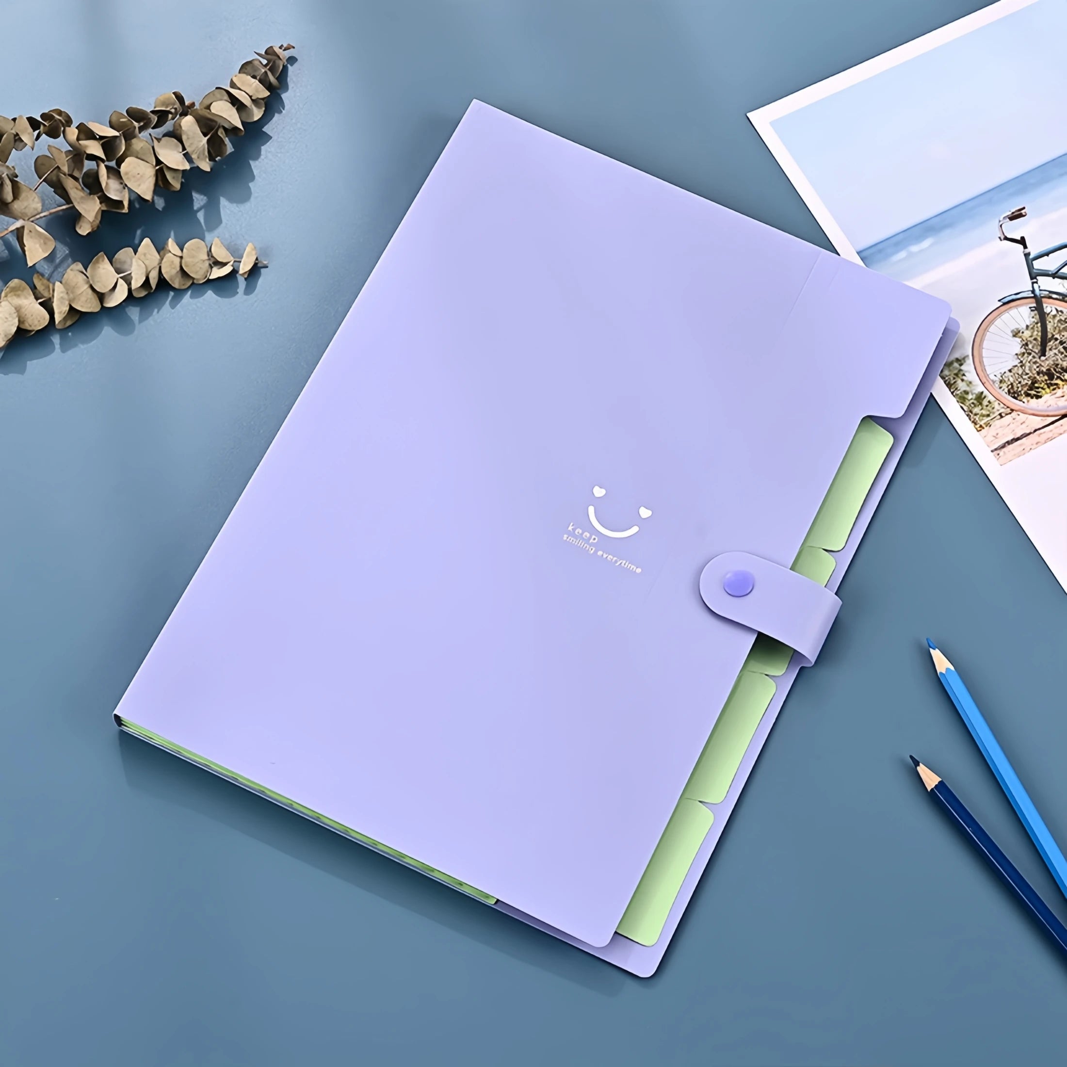 A4 Candy Colored File Folder (9 Color Options)