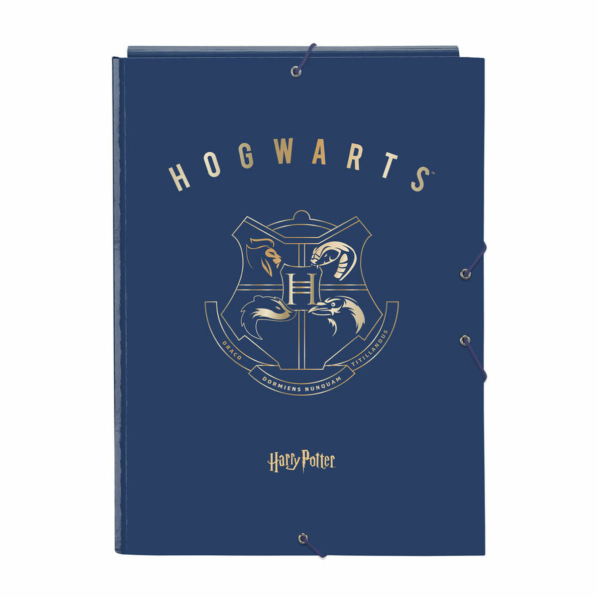 Folder Harry Potter Magical Brown Navy Blue A4 (26 x 33.5 x 2.5 cm)