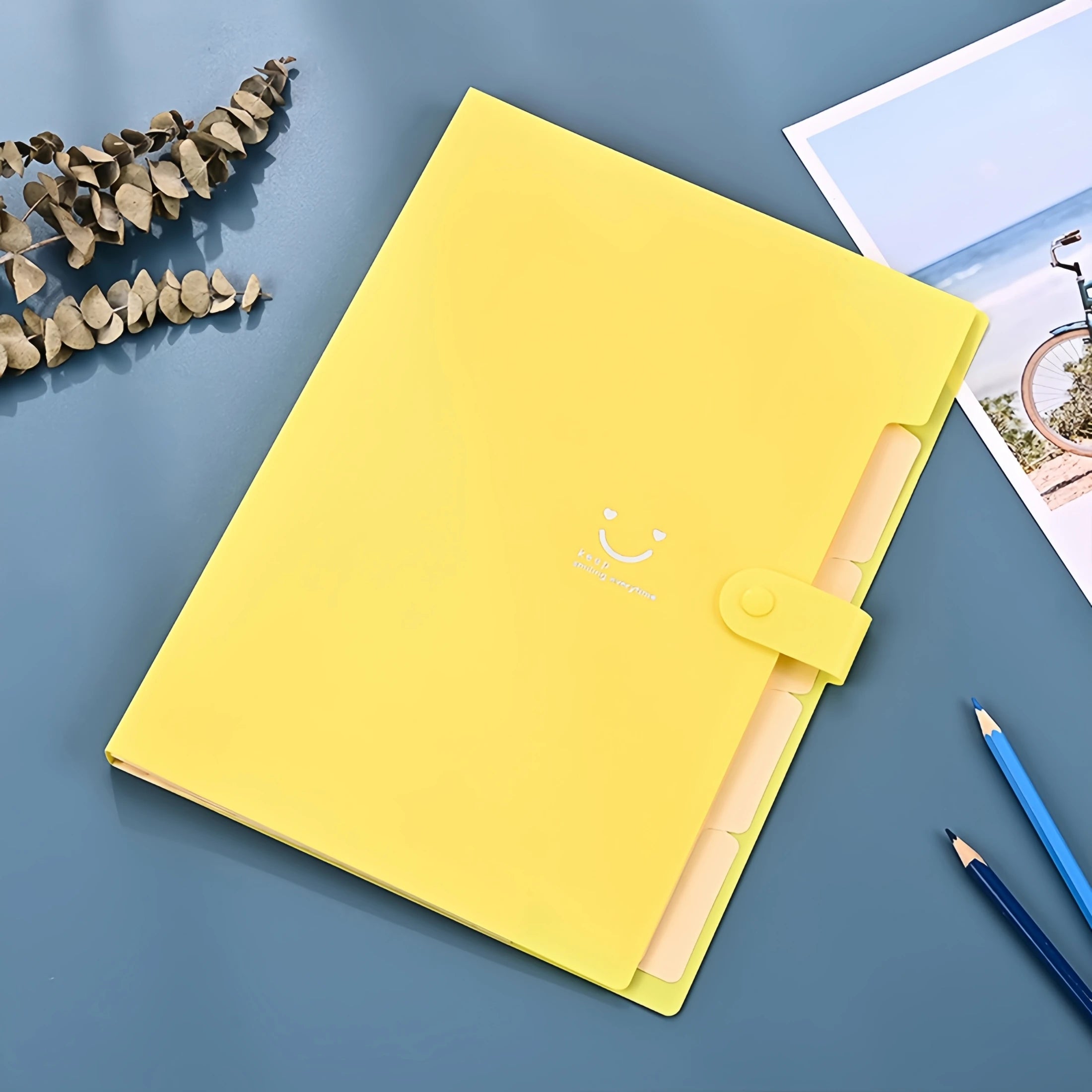 A4 Candy Colored File Folder (9 Color Options)