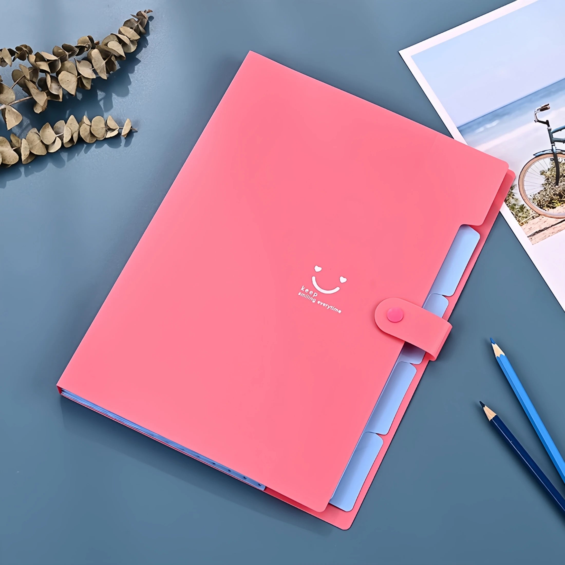 A4 Candy Colored File Folder (9 Color Options)