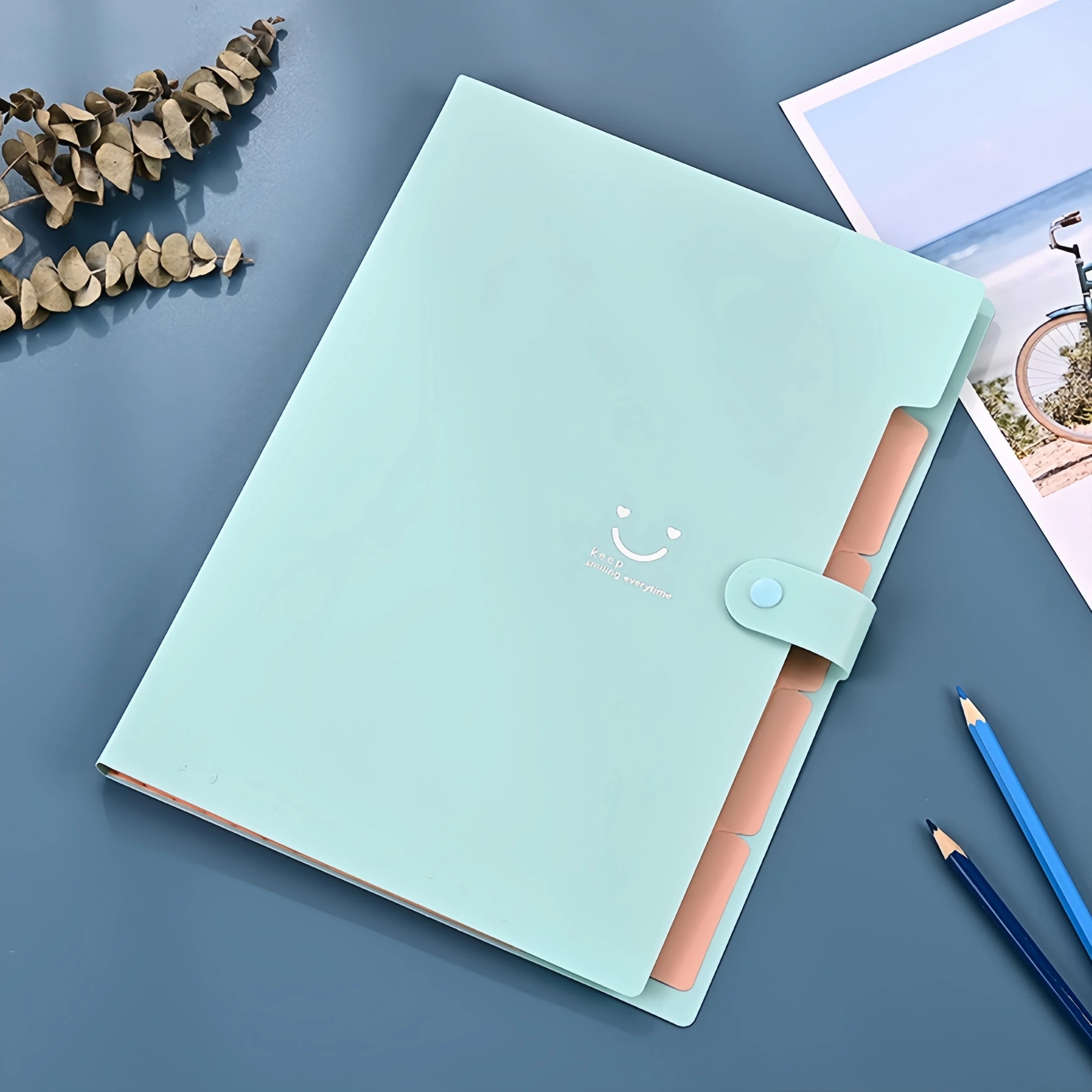 A4 Candy Colored File Folder (9 Color Options)