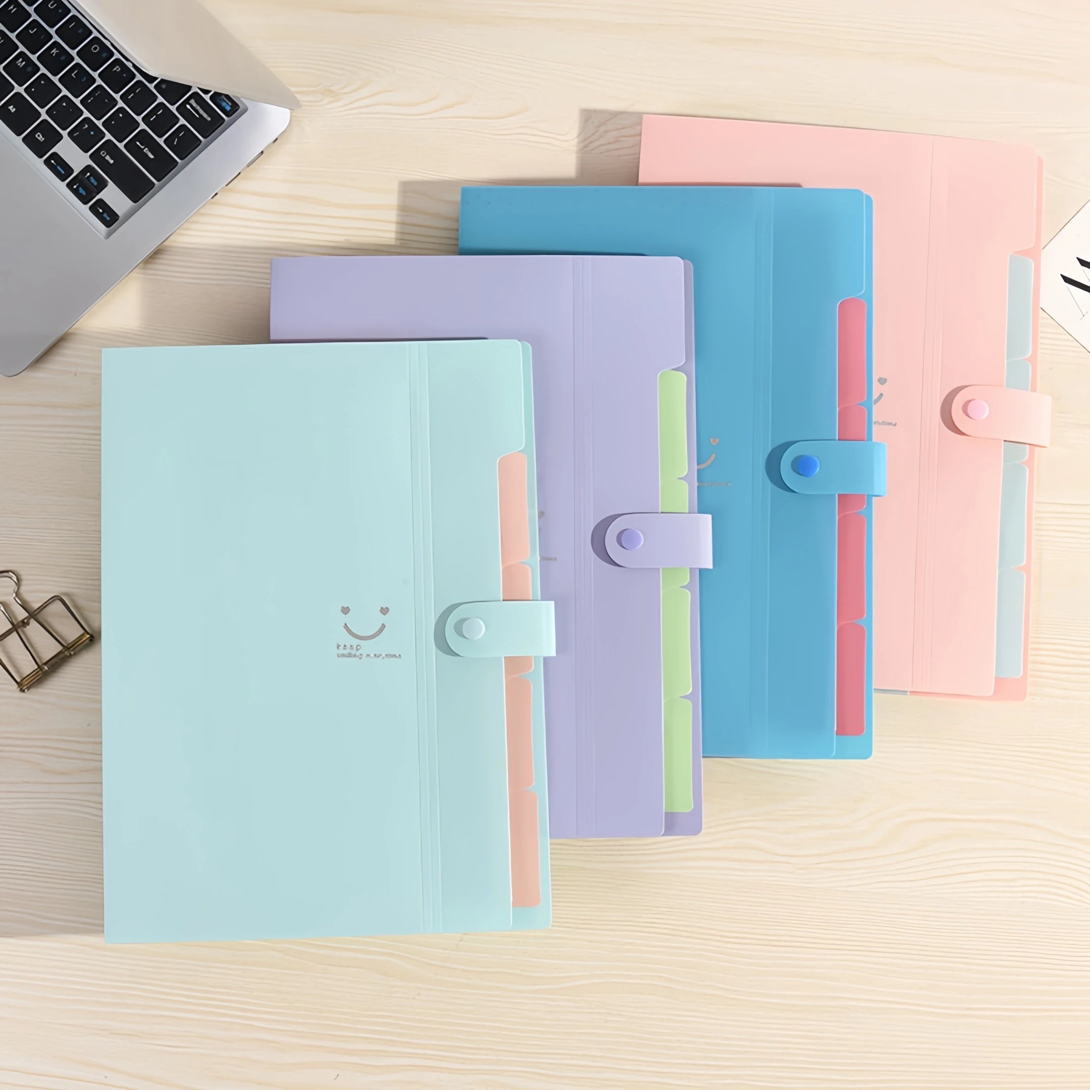 A4 Candy Colored File Folder (9 Color Options)