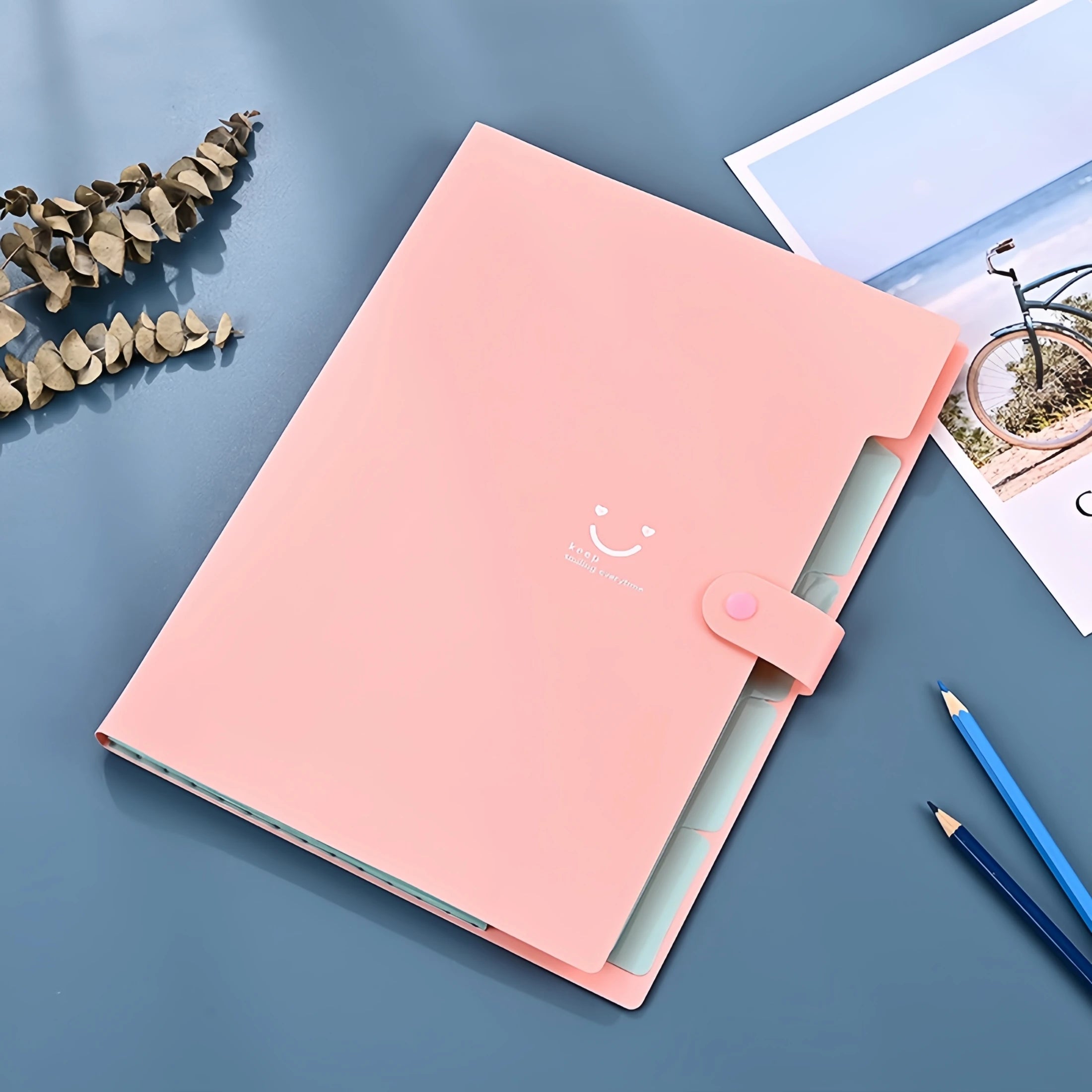 A4 Candy Colored File Folder (9 Color Options)