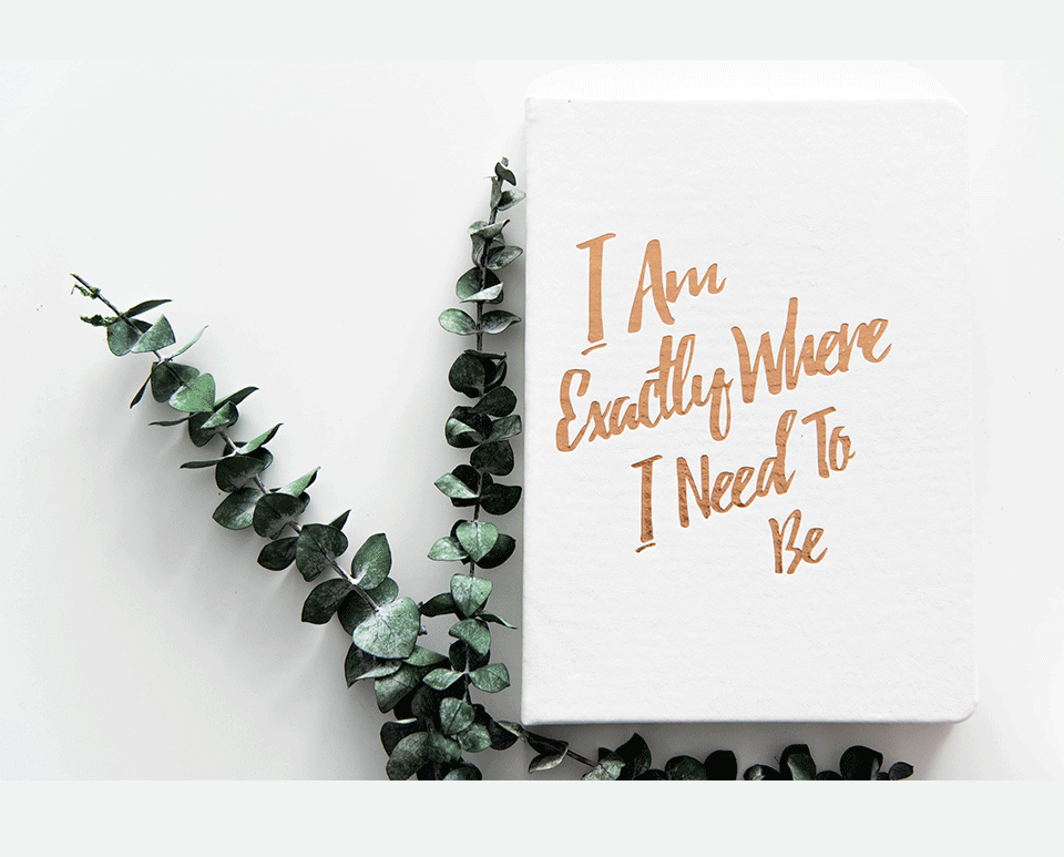 The Guided Gratitude Journal for Anxiety Relief